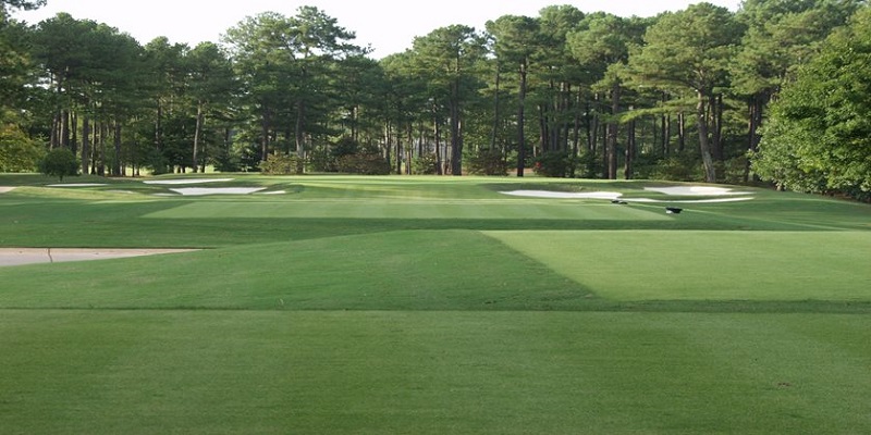 Top 10 Golf Course in Georgia 2023