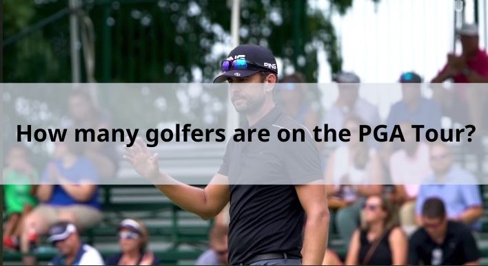 how many pga tour professionals are there