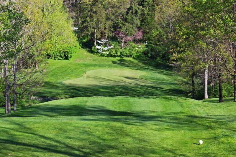 15+ Golf Courses In Covington
